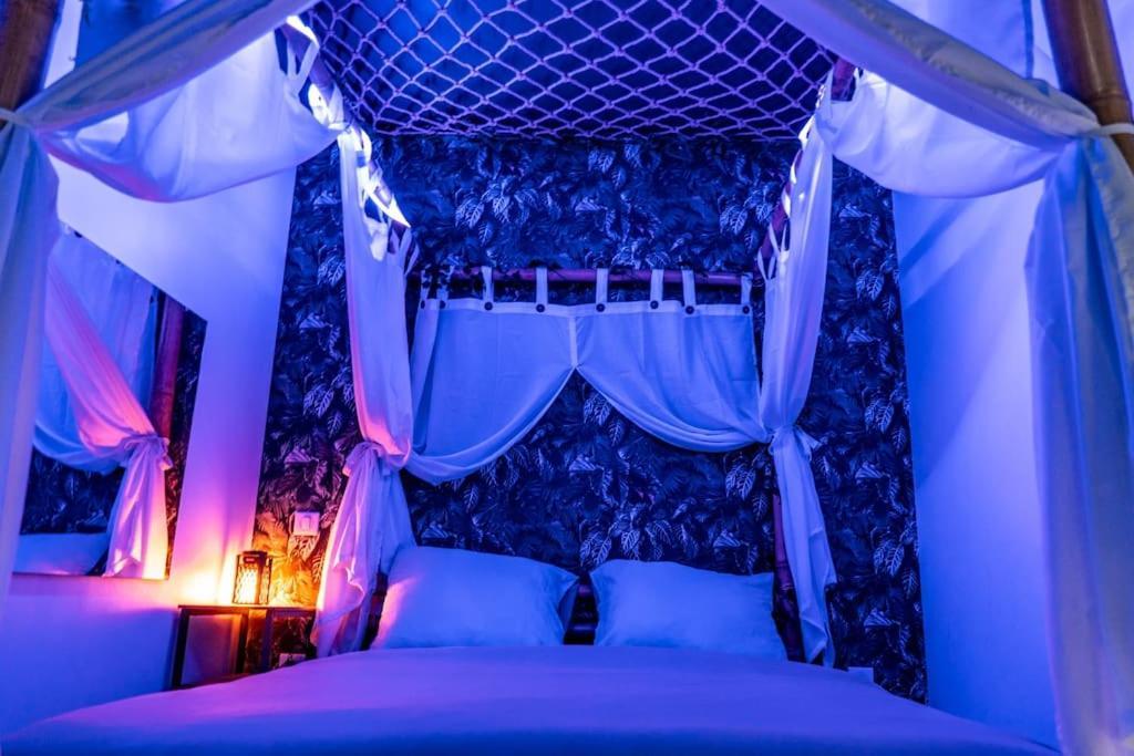 Tropical Jungle Loveroom Centre Apartment Pau