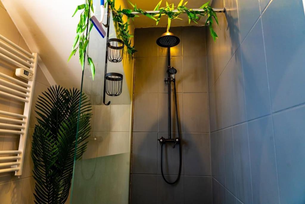 Tropical Jungle Loveroom Centre *