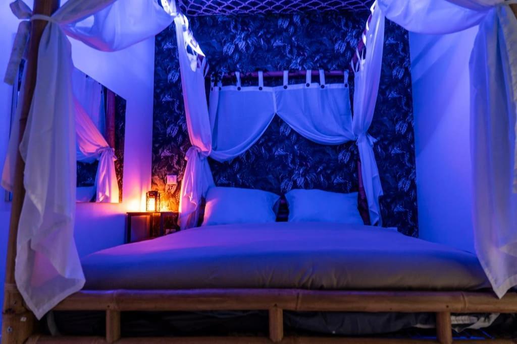 Tropical Jungle Loveroom Centre Apartment